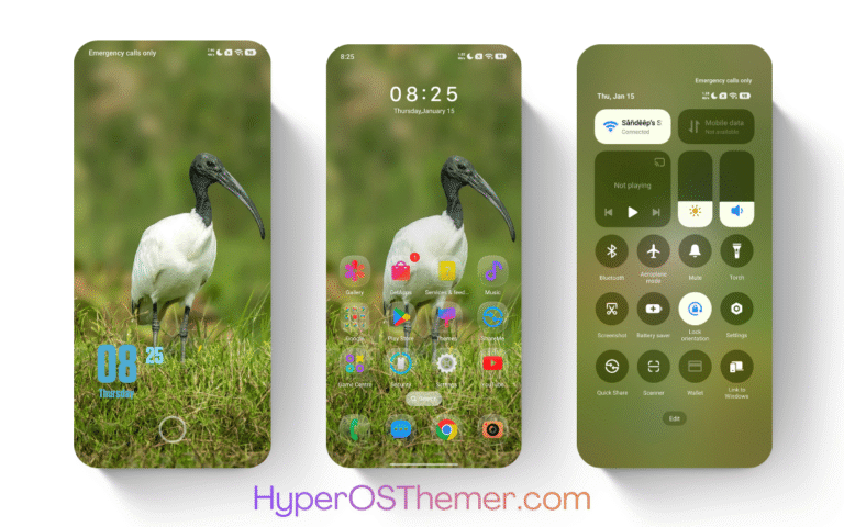 AJ Birds HyperOS Theme